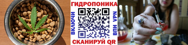 купить закладку  Бабушкин  Еда ТГК марихуана 