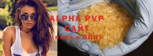 ГАЛЛЮЦИНОГЕННЫЕ ГРИБЫ Осинники