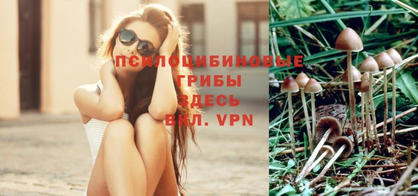 шишки Аркадак