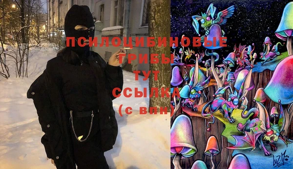 ГАЛЛЮЦИНОГЕННЫЕ ГРИБЫ Осинники