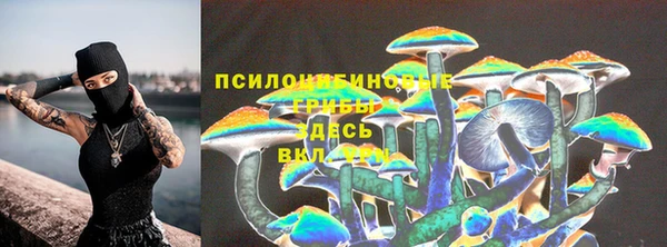 ГАЛЛЮЦИНОГЕННЫЕ ГРИБЫ Осинники