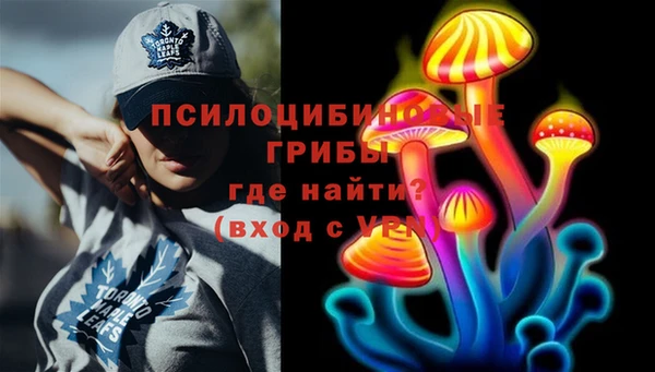 ГАЛЛЮЦИНОГЕННЫЕ ГРИБЫ Осинники