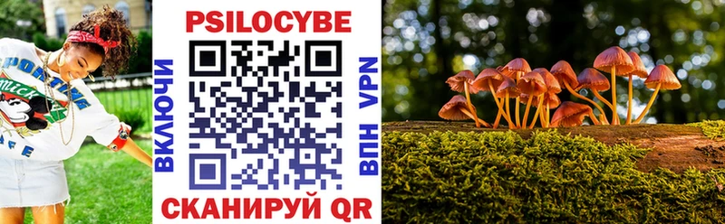 Галлюциногенные грибы прущие грибы  Бабушкин 